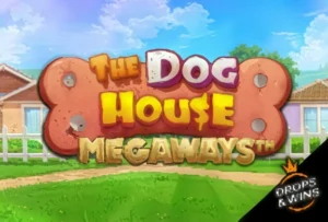 The Dog House Megaways slot at RocketPlay casino in Australia
